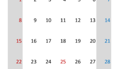 December 2024 Calendar planner Printable D1315