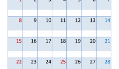 Blank Calendar Template for December 2024 D1317