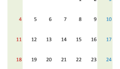 Blank Printable Calendar 2024 August A8390